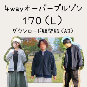 ڥɣǡۣwayС֥륾 ݣ(download-170-L)