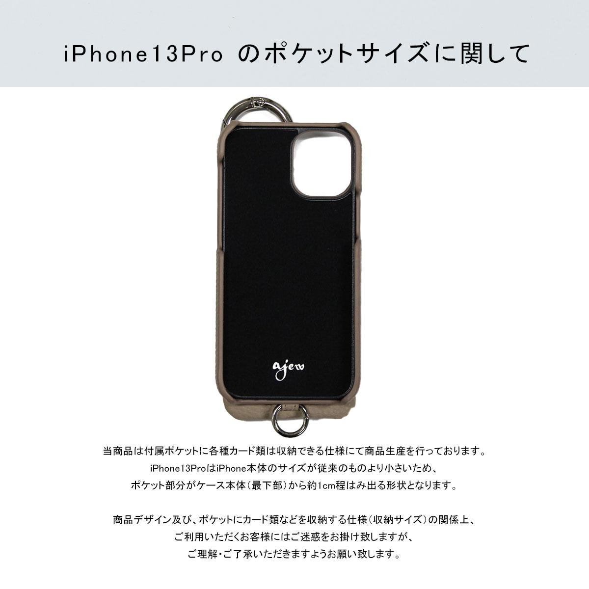 dress NYLON 】 iPhone13Pro / black (発送はご注文から3営業日以内