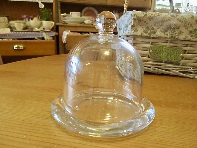 ガラスドームフランスアンティークアーツ&サイエンスマルタンマルジェラ