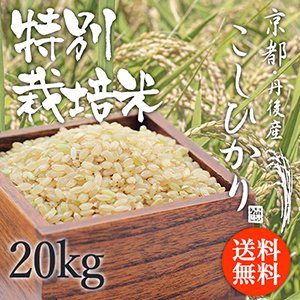 コシヒカリ玄米20kg  京都丹後産