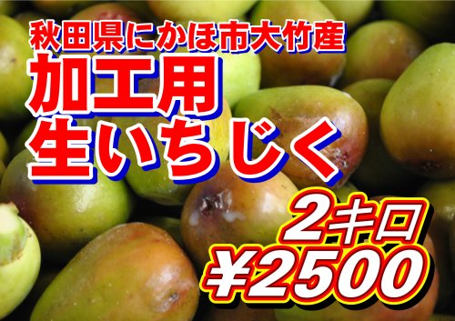 令和６年度産】加工用生いちじく２kg（秋田県にかほ市大竹産） - 無添加にこだわった いちじく加工品をお届け｜佐藤勘六商店ショップサイト