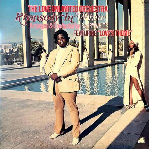 THE LOVE UNLIMITED ORCHESTRA / Rhapsody In White [LP]