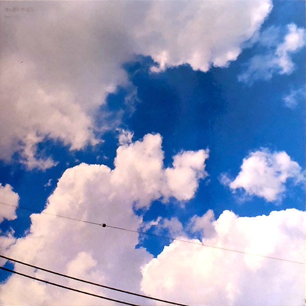 SUNNY DAY SERVICE サニーデイ・サービス / Best Sky [LP] - レコード 