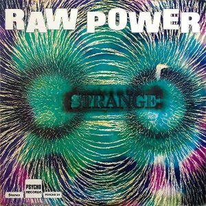 TERRY BROOKS AND STRANGE / Raw Power [LP]