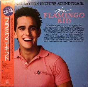 SOUNDTRACK / The Flamingo Kid [LP]