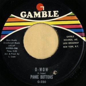 PANIC BUTTONS / O-Wow [7INCH]