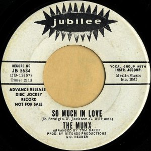 THE MUNX / So Much In Love [7INCH]