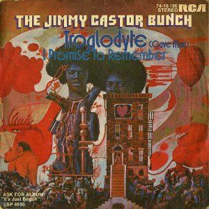 THE JIMMY CASTOR BUNCH / Troglodyte (Cave Man) [7INCH]