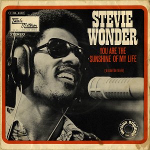 STEVIE WONDER / You Are The Sunshine Of My Life [7INCH]