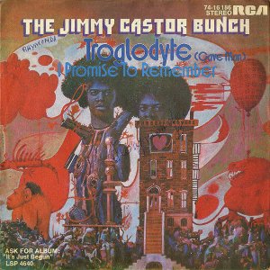 THE JIMMY CASTOR BUNCH / Troglodyte (Cave Man) [7INCH]