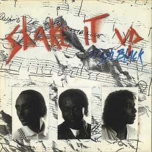 FLASH BLACK / Shake It Up [7INCH]