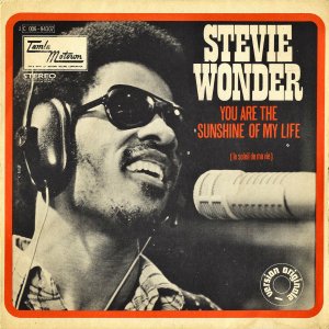 STEVIE WONDER / You Are The Sunshine Of My Life [7INCH]