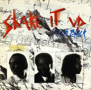 FLASH BLACK / Shake It Up [7INCH]