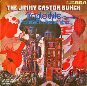 THE JIMMY CASTOR BUNCH / Troglodyte (Cave Man) [7INCH]