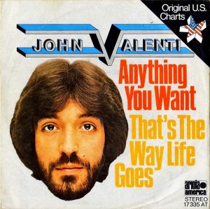 JOHN VALENTI / Anything You Want [7INCH]