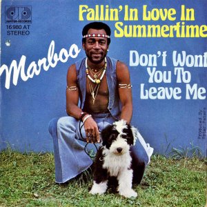 MARBOO / Fallin' In Love In Summertime [7INCH]