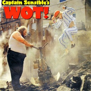 CAPTAIN SENSIBLE / Wot! [7INCH]