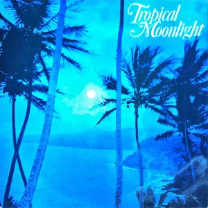 COMPILATION / Tropical Moonlight [LP]