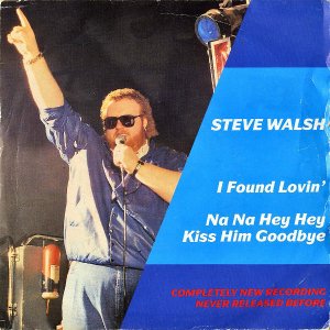 STEVE WALSH / Found Lovin' [7INCH]