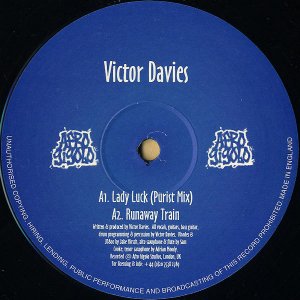 VICTOR DAVIES / Lady Luck (Purist Mix) [12INCH]