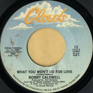 BOBBY CALDWELL / What You Won't Do For Love [7INCH]