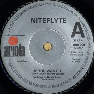 NITEFLYTE / If You Want It [7INCH]