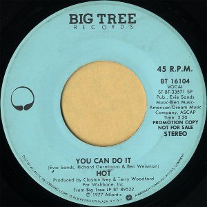 HOT / You Can Do It [7INCH]