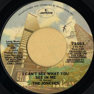 THE JONESES / I Can't See What You See In Me [7INCH]