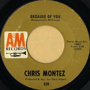 CHRIS MONTEZ / Because Of You [7INCH]