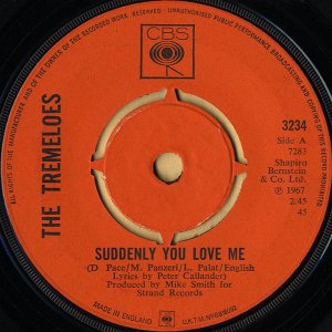 THE TREMELOES / Suddenly You Love Me [7INCH]