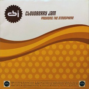 CLOUDBERRY JAM / Providing The Atmosphere [LP]