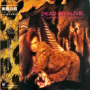 DEAD OR ALIVE / Sophisticated Boom Boom δ [LP]