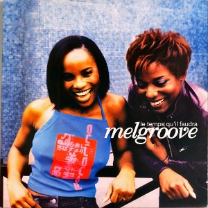 MELGROOVE / Le Temps Qu'il Faudra [2LP]