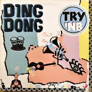 TRY'NB / Ding Dong [12INCH]