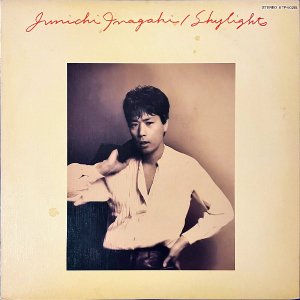  INAGAKI JUNICHI / Shylights [LP]