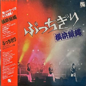 横浜銀蝿 THE CRAZY RIDER ROLLING SPECIAL / ぶっちぎり [LP]