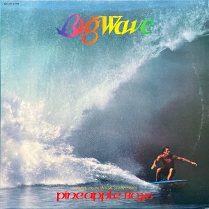 THE PINEAPPLE BOYS ѥʥåץ롦ܡ / Big Wave [LP]