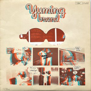 Ӱͳ ARAI YUMI / Yuming Brand 桼ߥ󡦥֥ [LP]