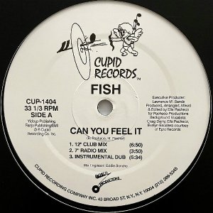 FISH / Can You Feel It [12INCH]