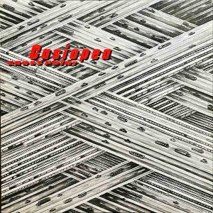 CASIOPEA ڥ / Cross Point [LP]