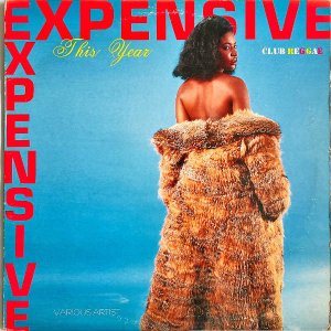 COMPILATION / Expensive This Year [LP]