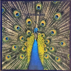 THE BLUETONES / Expecting to Fly [LP]