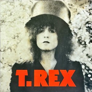 T.REX T.å / The Slider 饤 [LP]