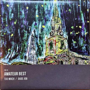 AMATEUR BEST / Too Much [7INCH]