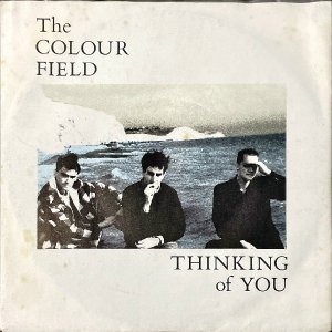 THE COLOUR FIELD / Thinking Of You [7INCH]