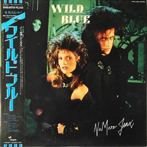 WILD BLUE 磻ɡ֥롼 / No More Jinx Ρ⥢󥯥 [LP]