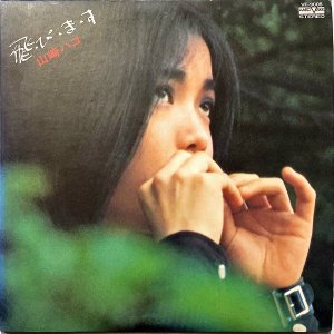 ϥ YAMAZAKI HAKO / ӡޡ [LP]
