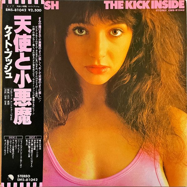 LP】Kate Bush The Kick Inside (UK 2nd press/Limited Edition Picture Disc/OVAL  HYPE-STICKER) ケイト・ブッシュ 天使と小悪魔 嵐が丘 - レコード