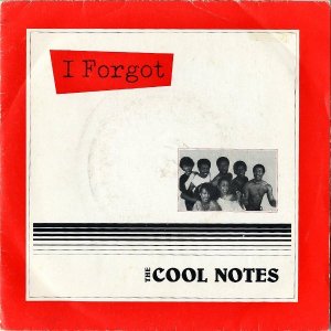 THE COOL NOTES / I Forgot [7INCH]