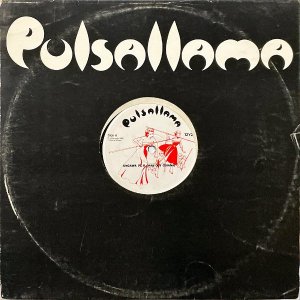 PULSALLAMA / The Devil Lives In My Husband's Body [LP]